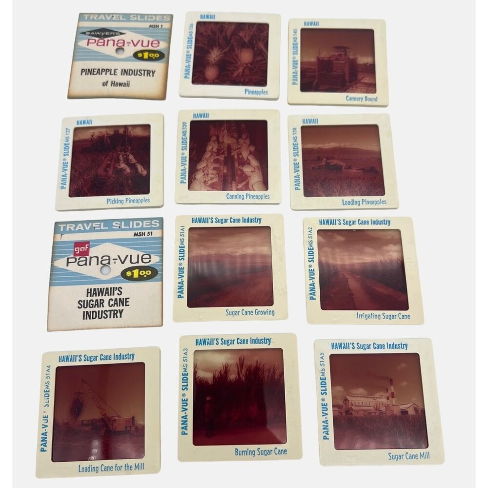 Vintage Pineapple & Sugar Cane Industries GAF Pana-Vue Travel Slides Hawaii